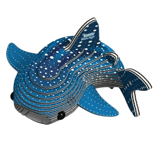 EUGY 3D Whale Shark Model