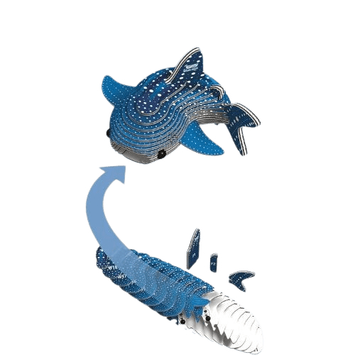 EUGY 3D Whale Shark Model