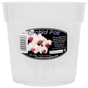 Clear Orchid Pot 15 cm