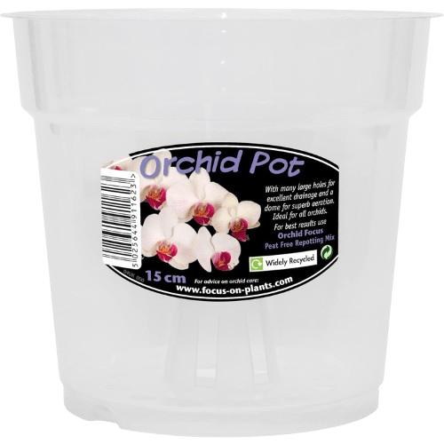 Clear Orchid Pot 15 cm