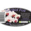 Clear Orchid Pot 15 cm