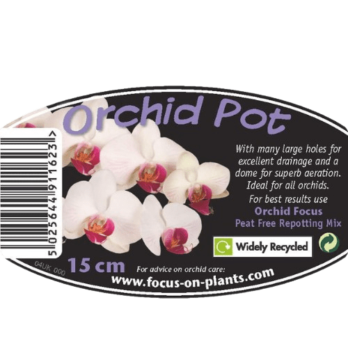 Clear Orchid Pot 15 cm